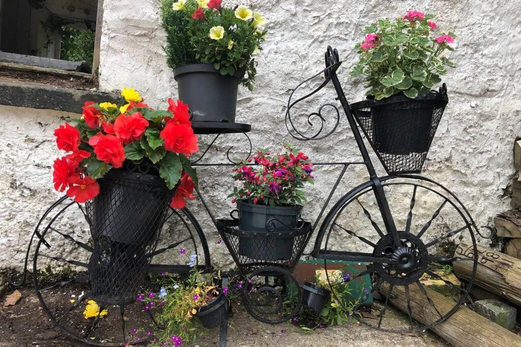 Rhubarb Cottage Enniskillen Zewnętrze zdjęcie