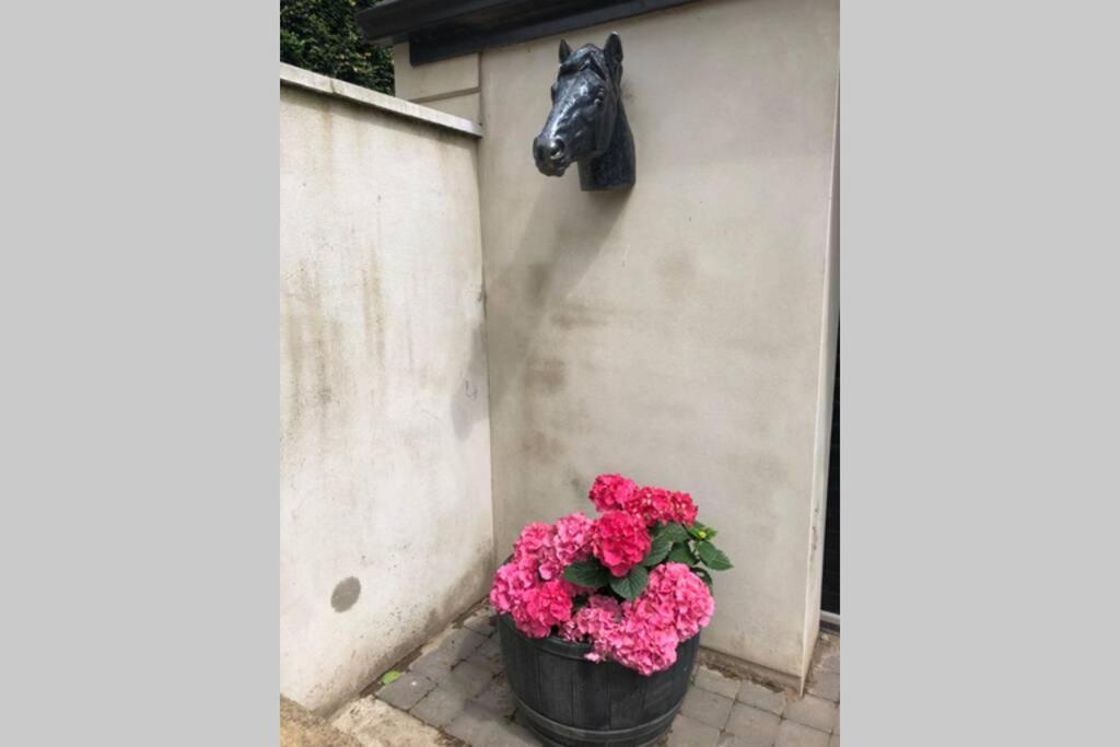 Rhubarb Cottage Enniskillen Zewnętrze zdjęcie