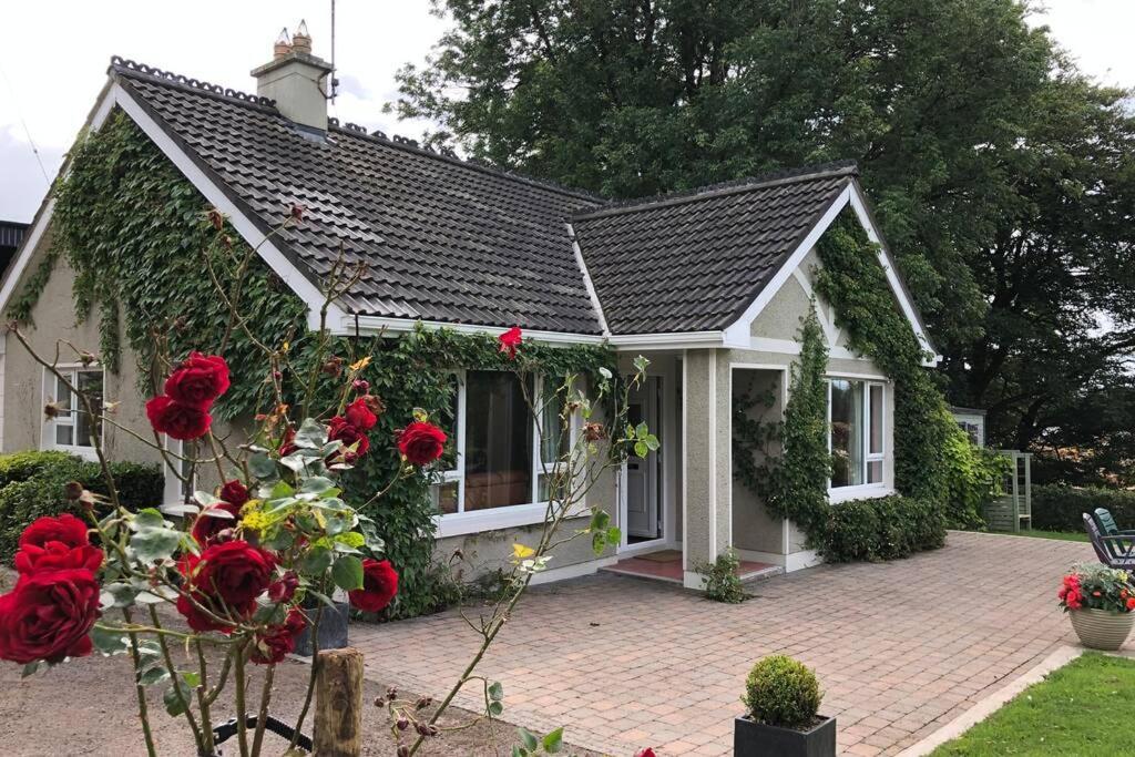 Rhubarb Cottage Enniskillen Zewnętrze zdjęcie